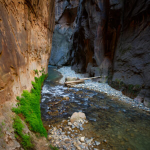 Zion Narrows and Virgin River